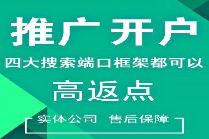 搜索引擎营销（SEM）在移动端的推广案例
